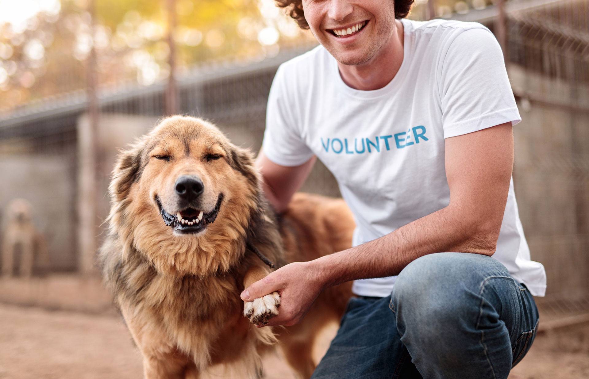 Group of Volunteers Smiling